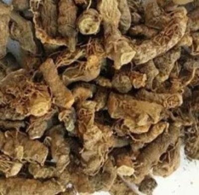 Dry Satuwa: A Natural Healing Herb for Health &amp;amp; Wellness